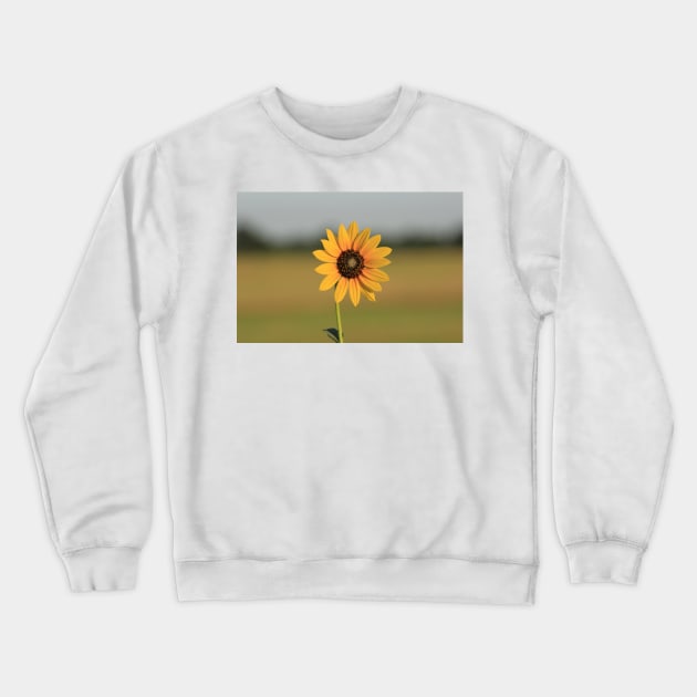 Kansas Wild Sunflower with a green background with sky. Crewneck Sweatshirt by ROBERTDBROZEK